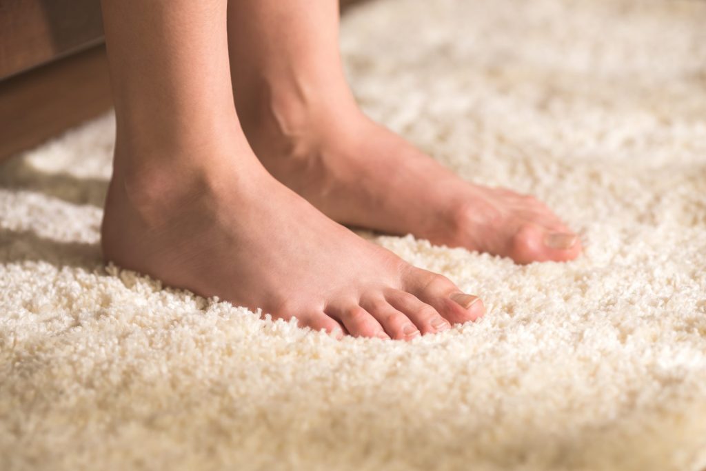 carpet 2022 10 14 15 31 57 utc