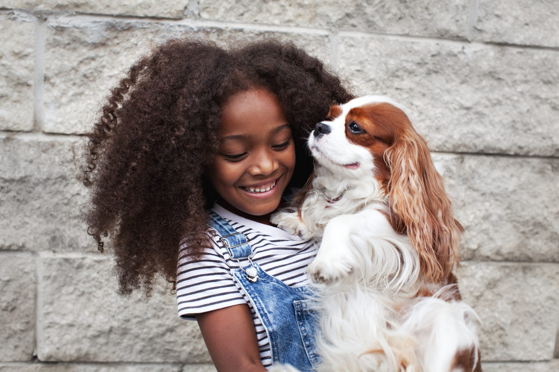 child holding pet 2023 02 18 03 04 41 utc