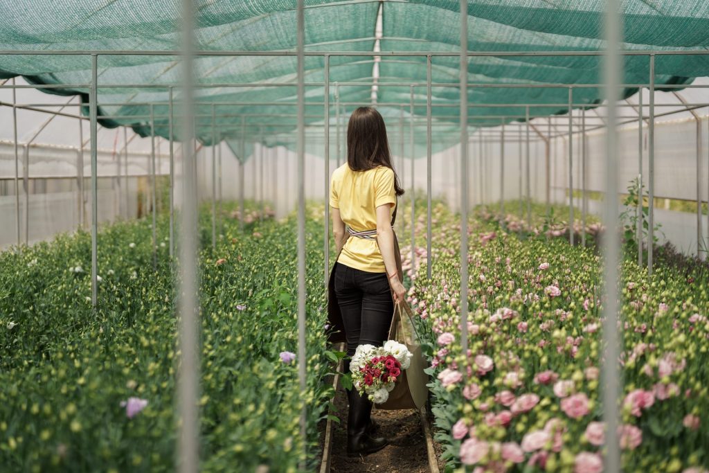 flower cultivation 2022 08 29 21 06 37 utc